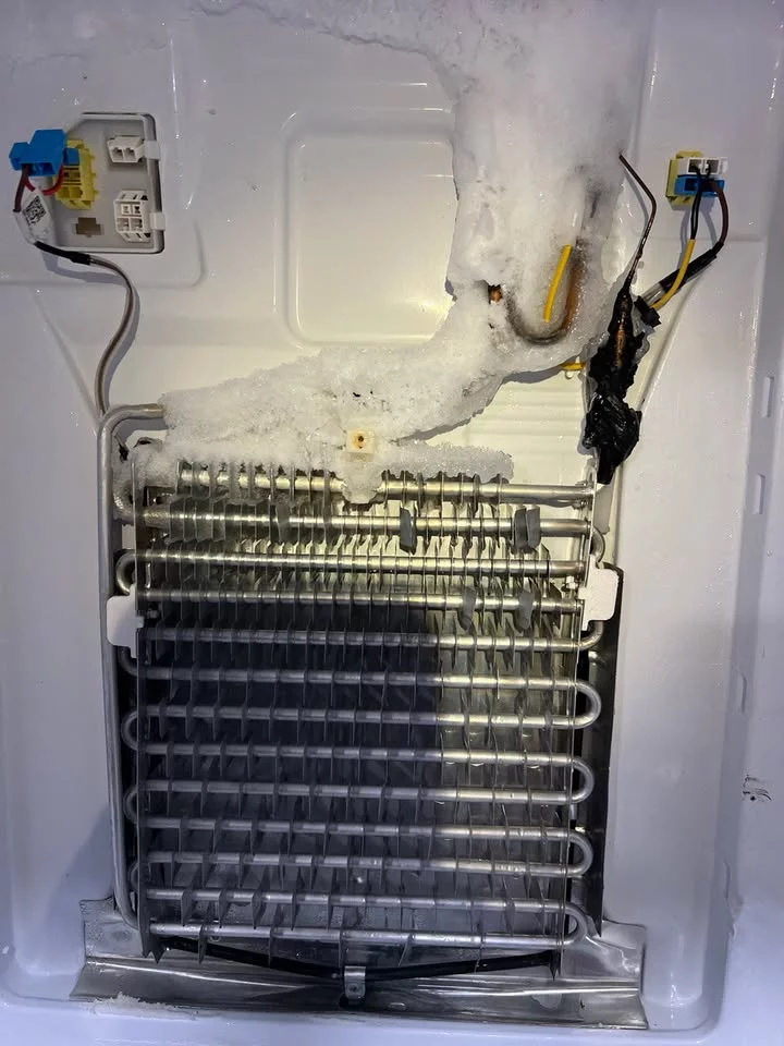 Refrigerator in a kitchen setting, highlighting modern appliance design.